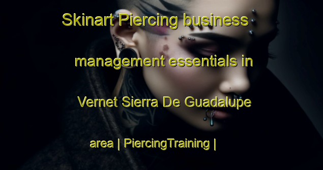 Skinart Piercing business management essentials in Vernet Sierra De Guadalupe area | PiercingTraining | PiercingClasses | SkinartTraining-Mexico